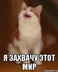  Я захвачу этот мир