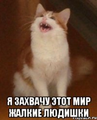  Я захвачу этот мир жалкие людишки
