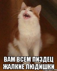  вам всем пиздец жалкие людишки