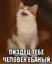  пиздец тебе человек ебаный