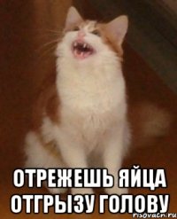  отрежешь яйца отгрызу голову