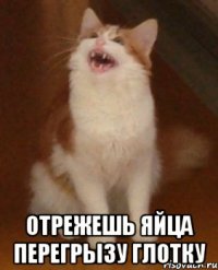 отрежешь яйца перегрызу глотку