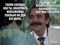 Такую скотину, как ты, накормить невозможно, сколько ни дай, все мало.. Решил в село поехать, кукурузку выращивать. Скотина голодная.