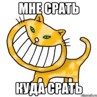 Мне срать куда срать