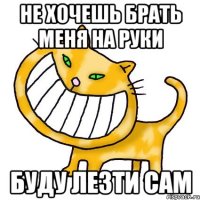 не хочешь брать меня на руки буду лезти сам