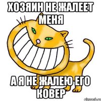 Хозяин не жалеет меня а я не жалею его ковер