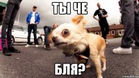 Ты че БЛЯ?
