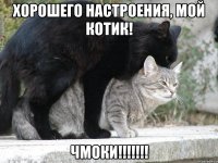 Хорошего настроения, мой котик! ЧМОКИ!!!!!!!