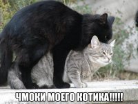  Чмоки моего котика!!!!!
