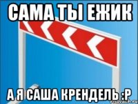 Сама ты ежик А я Саша Крендель :р