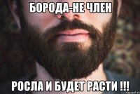 БОРОДА-НЕ ЧЛЕН РОСЛА И БУДЕТ РАСТИ !!!