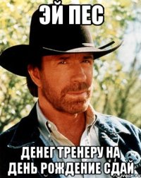 эй пес денег тренеру на день рождение сдай