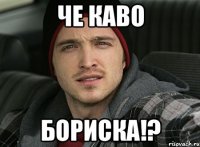 ЧЕ КАВО БОРИСКА!?