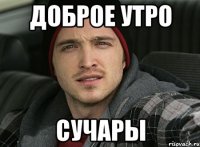 ДОБРОЕ УТРО СУЧАРЫ