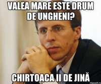 Valea Mare este drum de Ungheni? Chirtoaca ii de jină