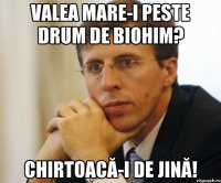 Valea Mare-i peste drum de biohim? Chirtoacă-i de jină!