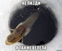 Не пизди Я так не велела