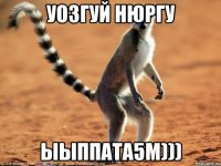 Уозгуй Нюргу Ыыппата5м)))