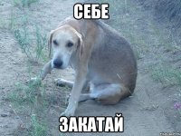 Себе Закатай