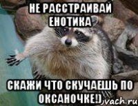 Не расстраивай енотика Скажи что скучаешь по Оксаночке!)