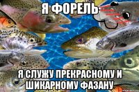 Я форель Я служу прекрасному и шикарному Фазану