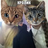 кролик 