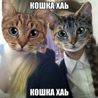 кошка хаь кошка хаь