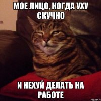 Мое лицо, когда уху скучно И нехуй делать на работе