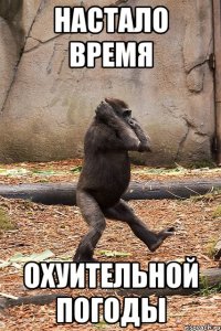 Настало время Охуительной погоды