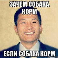 Зачем собака корм если собака корм