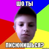 ШО ТЫ ПИСЮНИШЬСЯ?