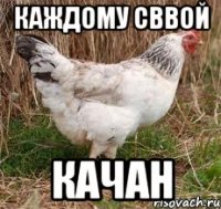 каждому сввой качан