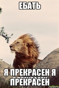 ЕБАТЬ Я ПРЕКРАСЕН Я ПРЕКРАСЕН