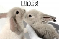 шлорз 