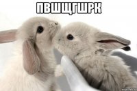 пвшщгшрк 