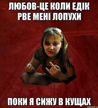 любов-це коли Едік рве мені лопухи поки я сижу в кущах