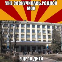 уже соскучилась,родной мой еще 10 дней