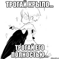 трогай крыло... трогай его полностью...