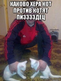 каково хера кот против котят пизззздец 