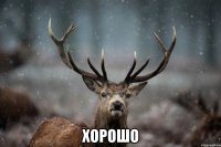  хорошо