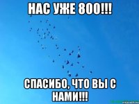 НАС УЖЕ 800!!! СПАСИБО, ЧТО ВЫ С НАМИ!!!