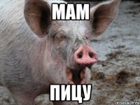 Мам Пицу