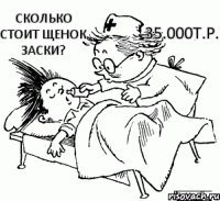 Сколько стоит щенок заски? 35.000т.р.