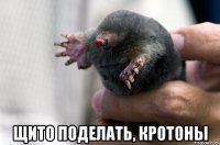  щито поделать, кротоны