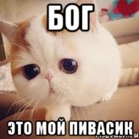 Бог это мой пивасик