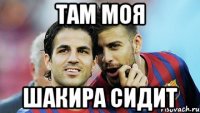 там моя шакира сидит