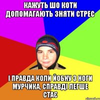 Кажуть шо коти допомагають зняти стрес І правда коли йобну з ноги мурчика, справді легше стає