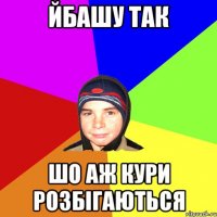 Йбашу так Шо аж кури розбігаються