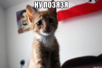 НУ ПОЗЯЗЯ 