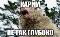 КАРИМ НЕ ТАК ГЛУБОКО